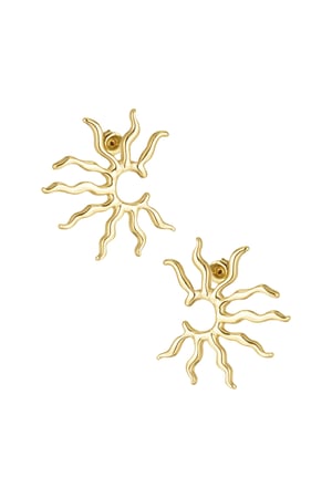 Sunny glow earrings - Silver Color color h5