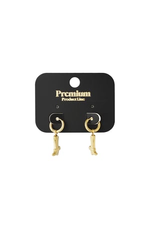 cowboy earrings h5 Picture3
