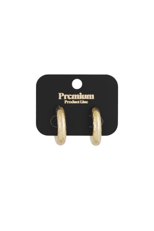 structured hoop earrings h5 Picture3