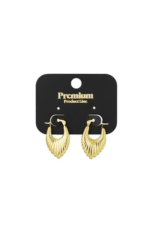 golden crush earrings h5 Picture2