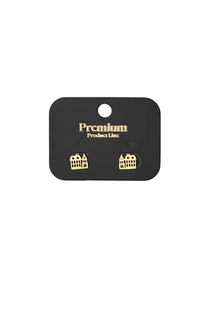 canal house earrings h5 Picture3