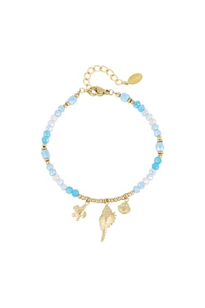 bracelet shell show h5 
