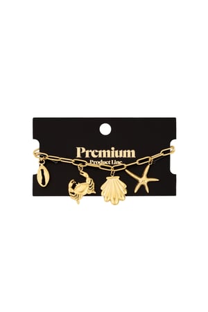 beachy bracelet h5 Picture6
