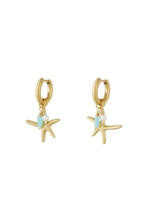 large starfish earrings h5 