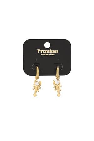 lobster earrings h5 Picture3