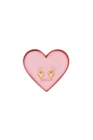 Orecchini a cuore in scatola h5 