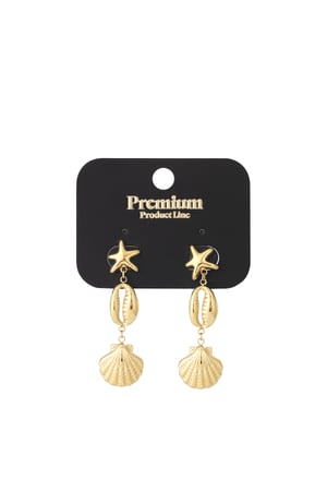 Sea vibe Earring h5 Picture4