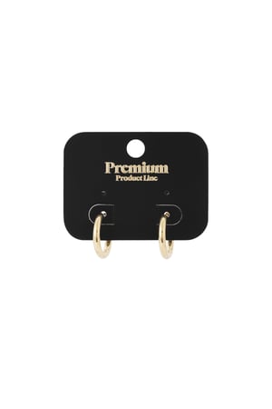 Creoli semplici XL Gold Stainless Steel h5 Immagine5