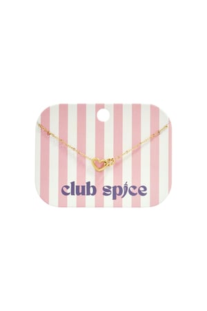 Bracelet with connected heart charm h5 Picture3