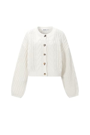 Cable Cardigan h5 