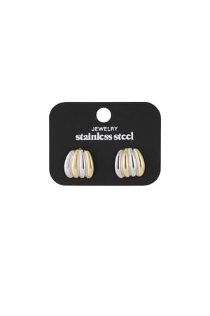 Silver Golden Fusion Earrings h5 Picture4