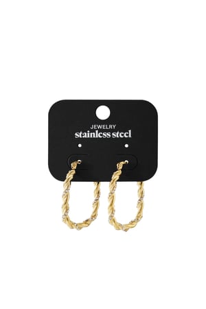Twisted Sparkle Hoop earrings h5 Picture4