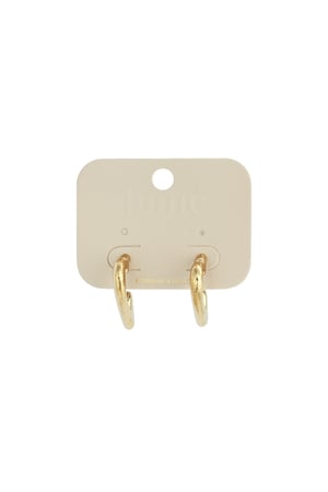 Hoop Earrings Heart Casual Daily Simple Series Women's jewelry h5 Picture5