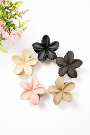 Hair clip flower - cream Plastic h5 Picture6