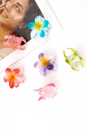 Haarspange Hawaiian Dream h5 Bild3