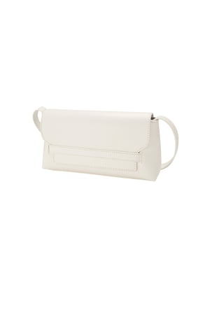 Classic chic bag h5