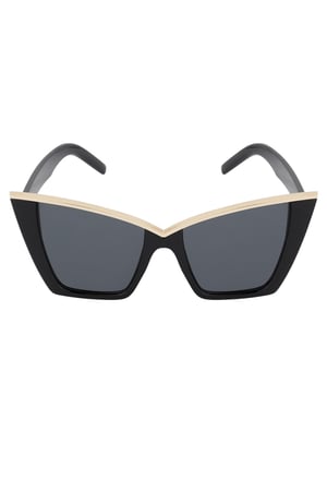 Chic sunglasses h5 Picture4