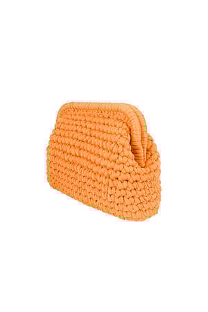 Die farbenfrohe Clutch h5 Bild3