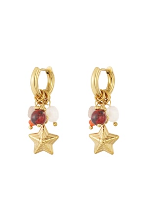 Stainless Steel Drop Earrings Star Casual Daily Simple Series Women's jewelry h5