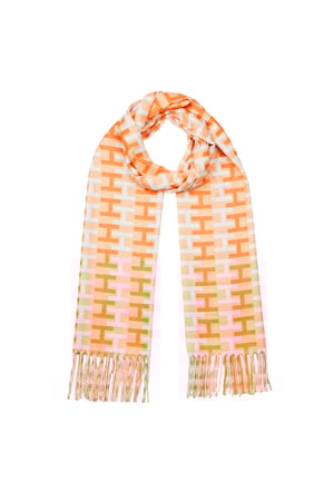 letter H scarf h5 Picture6