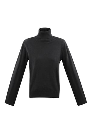 Honeydew turtleneck h5
