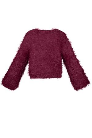 Fluffy finesse top h5 Picture3