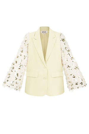 Blazer fluffy sparkle h5 