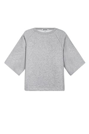 Top glitters in the sky - Gray h5