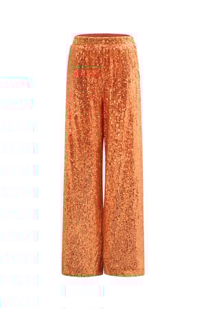 Glitter Straight Pants h5
