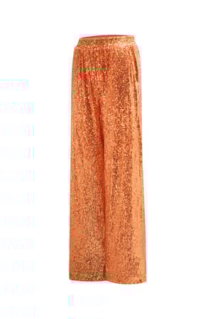 Glitter Straight Pants h5 Picture2
