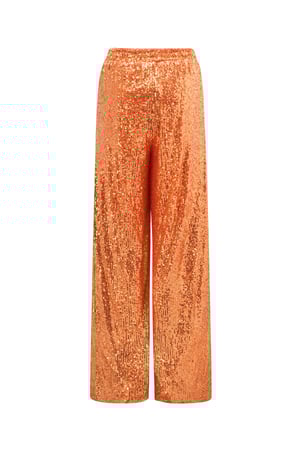 Glitter Straight Pants h5 Picture3