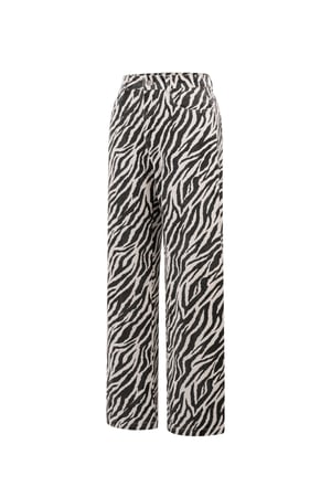 The Zebra Jeans h5 Picture8