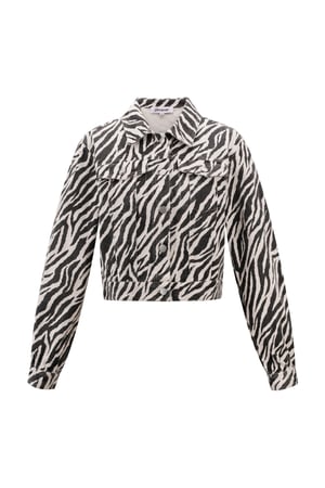 The Zebra Jacket h5
