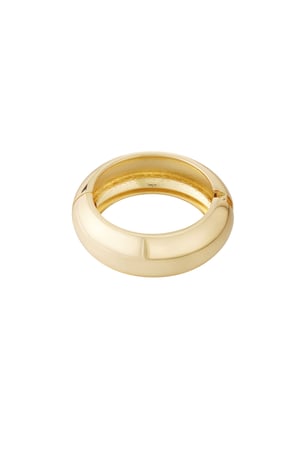 Bracelet solide et brillant h5