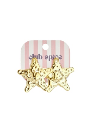 Dented star earrings h5 Picture5