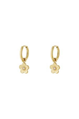 Flower fiesta earrings - Silver Color color h5 