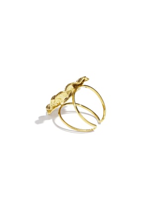 Stainless Steel Statement Rings irregular shape Casual Daily Simple Series Women's jewelry h5 Picture2