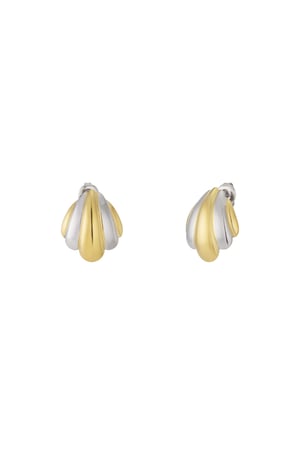 Golden Silver Fusion Earrings h5