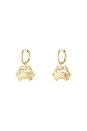   Drop Earrings Animal Casual Daily Simple Series Women's jewelry h5 