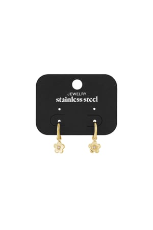 Flower fiesta earrings - Silver Color color h5 Picture3