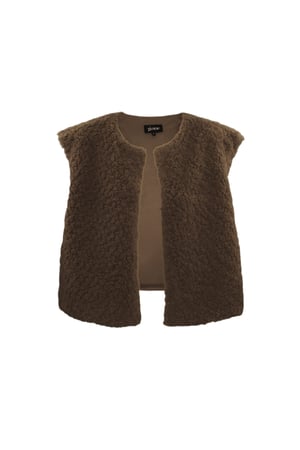 Gilet Teddy h5