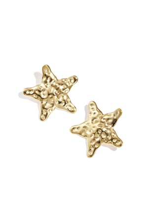 Dented star earrings h5 