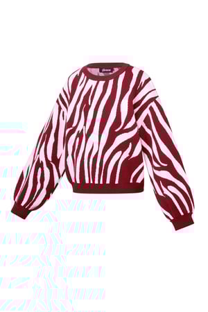 Maglioni lavorati a maglia, strisce zebrate, abbigliamento casual autunno/inverno h5 Immagine2