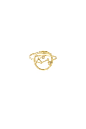 12 Zodiac Rings h5 