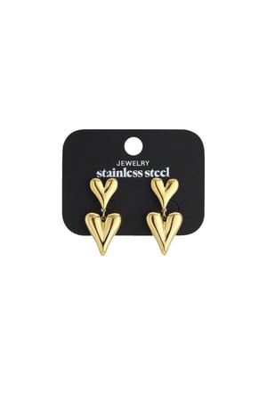 Stainless Steel Drop Earrings Heart Casual Daily Simple Series Women's jewelry h5 Picture5