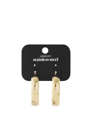 earrings stainless steel chic h5 Picture3