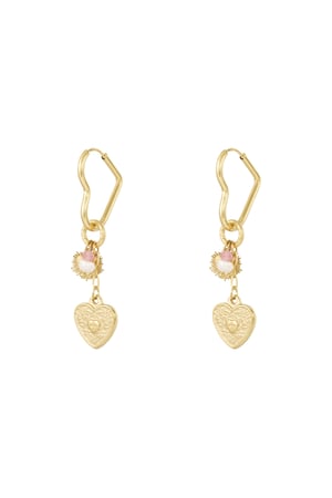 Stainless Steel Drop Earrings Heart Casual Daily Simple Series Women's jewelry h5