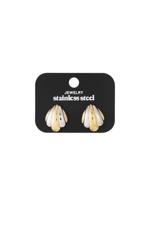 Golden Silver Fusion Earrings h5 Picture3