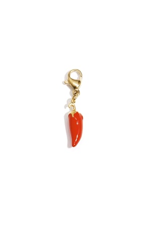 Jewelry charm spicy pepper DIY h5