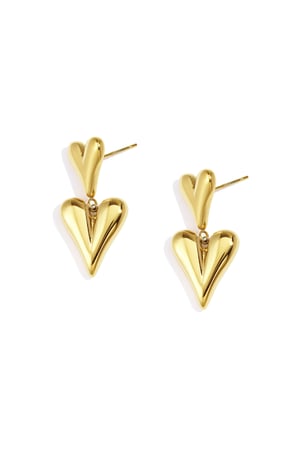 Stainless Steel Drop Earrings Heart Casual Daily Simple Series Women's jewelry h5
